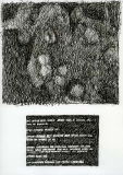 Abb. Alex Winiger, Befall IV, 2008, Tusche auf Papier, 29,7x21 cm